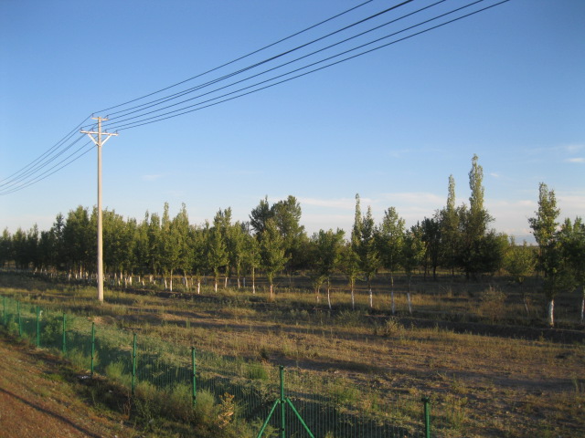 中石油新疆銷售有限公司塔城分公司額敏工業(yè)園區(qū)南加油站新建項目安全預(yù)評價報告